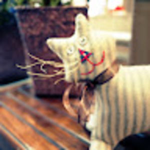 Meet your Posher, Yiru